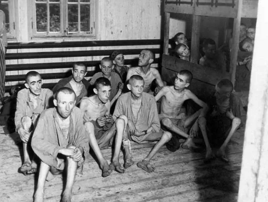 1.5. Организация обсуждения на основе исторических источников по теме «Уничтожение голодом  и создание заведомо невыносимых условий существования»